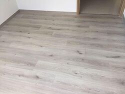 Coco Palms (D18), Condominium #565824581
